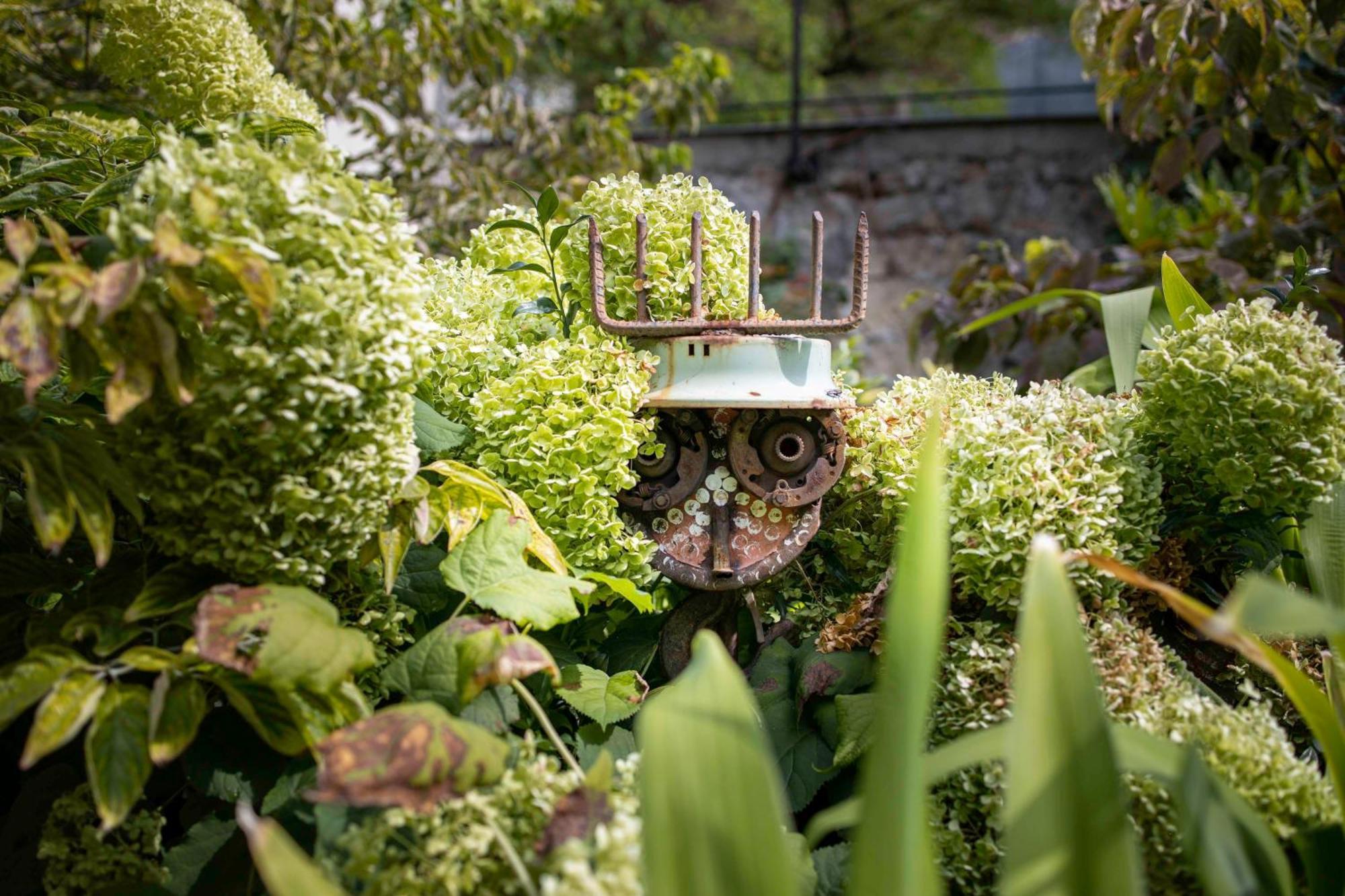 Regent's Garden - Astotel